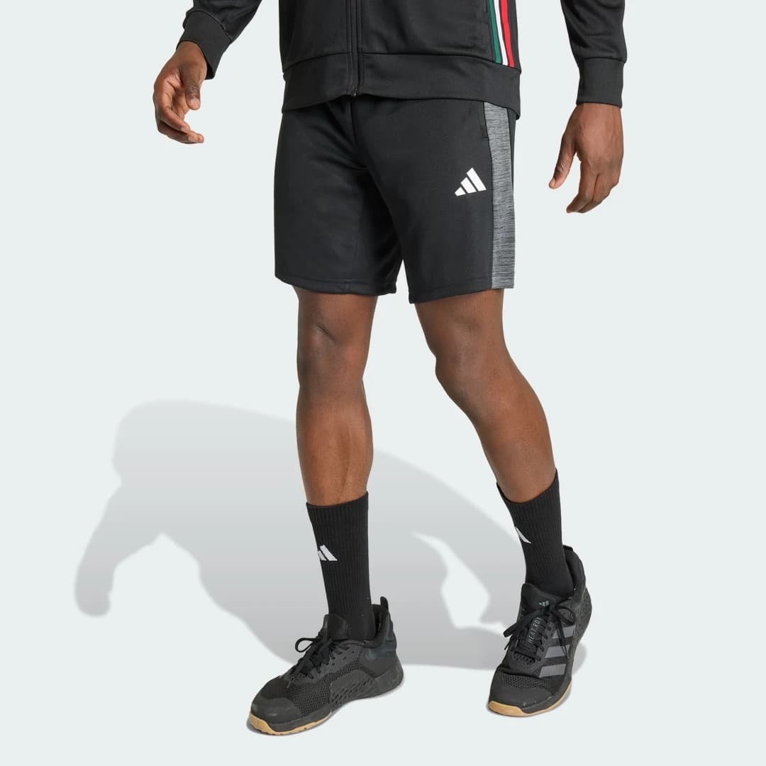 Shorts Workout Essentials All-set